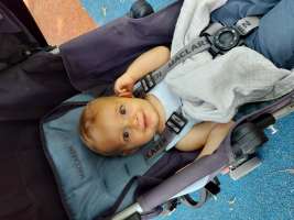 louis